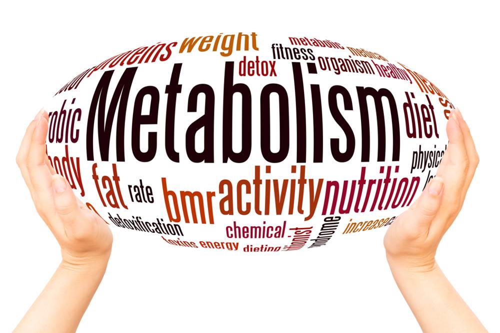 Diet Mistakes that Slow Your Metabolism