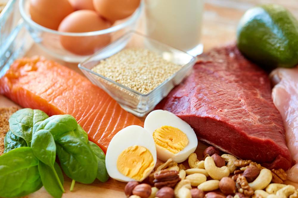 Protein Food that Can Help Burn Fat